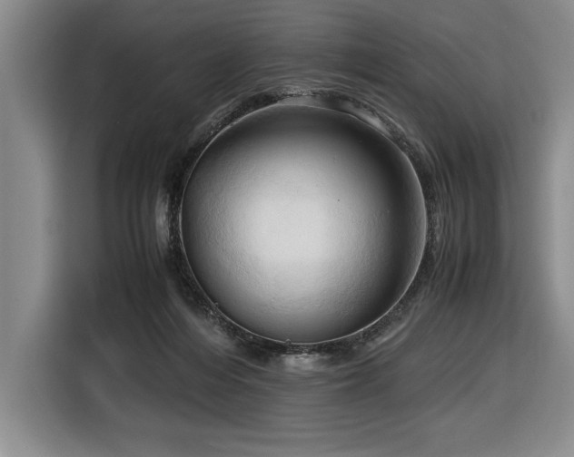 X0000116680216200912141438