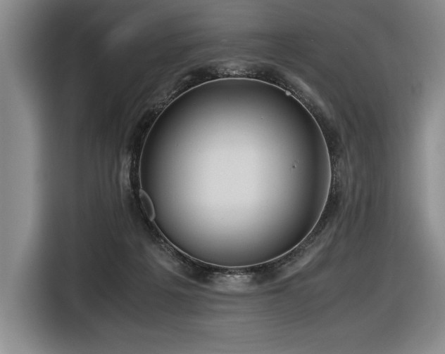 X0000116680217200912141438