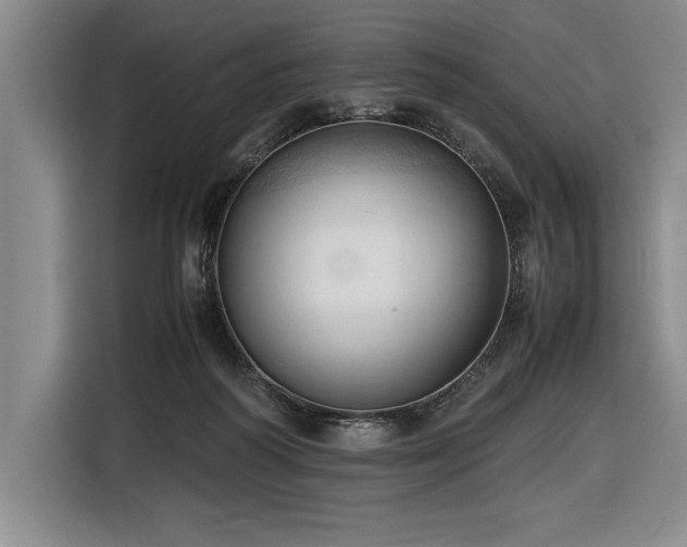 X0000116680218200912141438