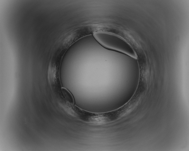 X0000116680219200912141438