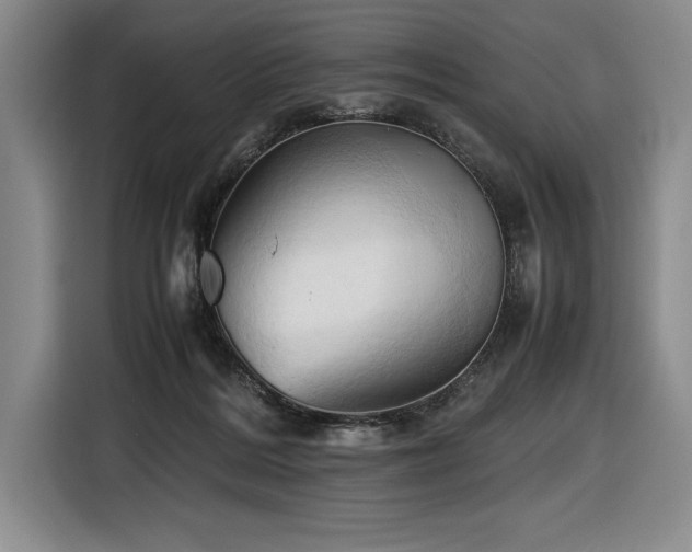 X0000116680220200912141438