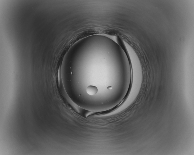 X0000116680221200912141438