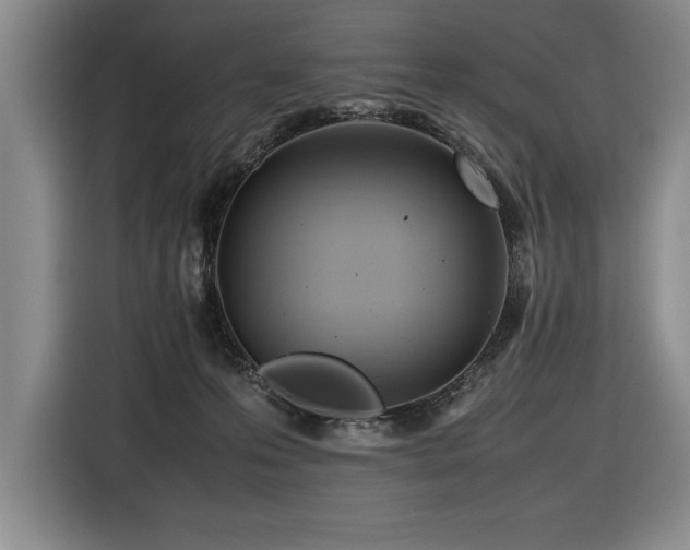 X0000116680223200912141438