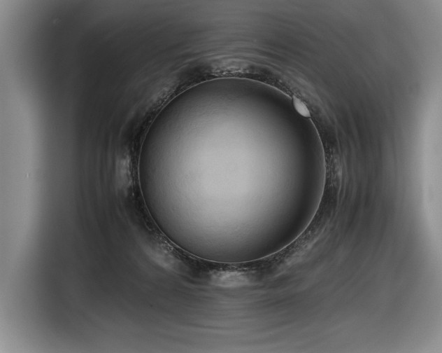 X0000116680224200912141438