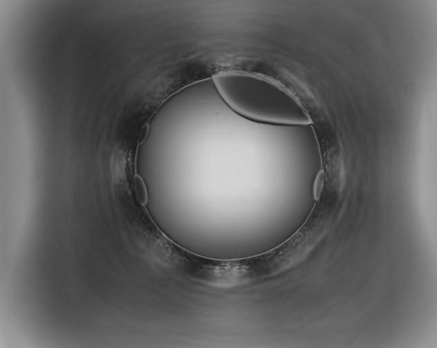 X0000116680225200912141438