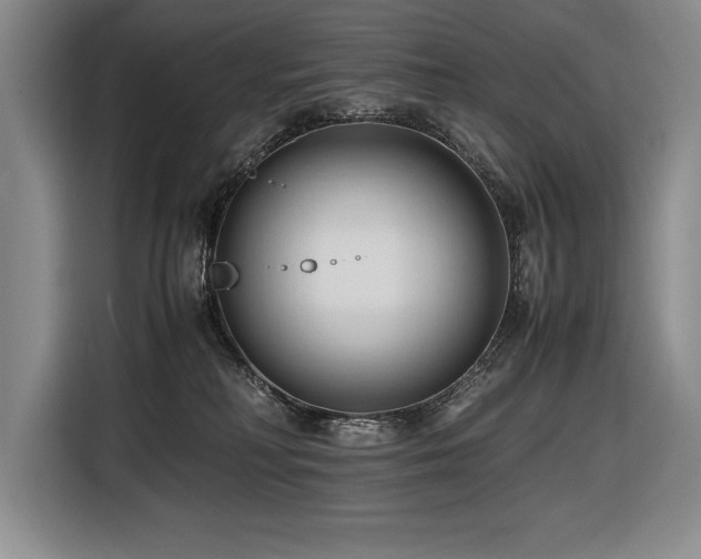 X0000116680230200912141438