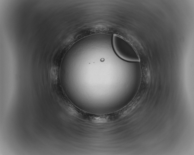 X0000116680232200912141438