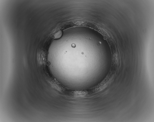 X0000116680234200912141438