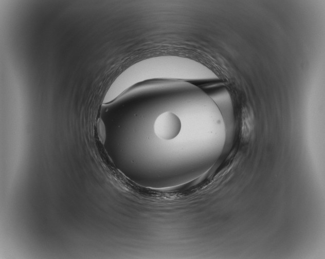 X0000116680235200912141438