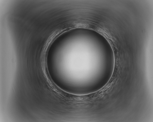 X0000116680241200912141437