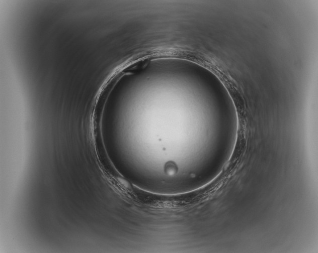 X0000116680244200912141437