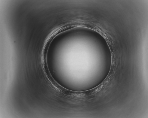 X0000116680245200912141437