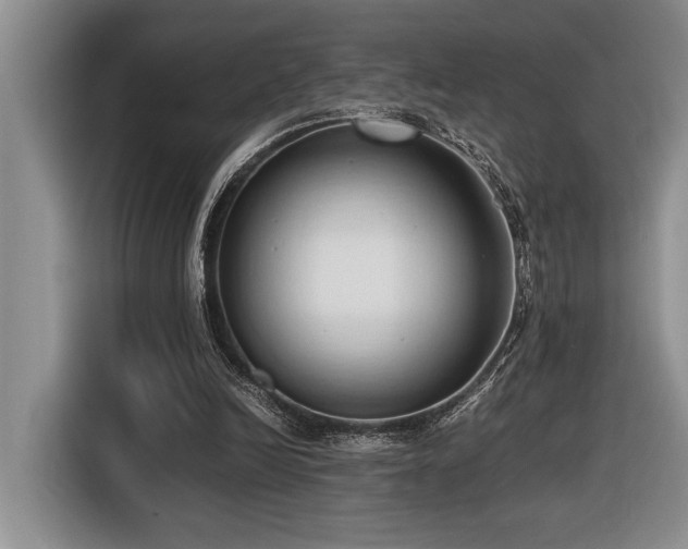 X0000116680246200912141437