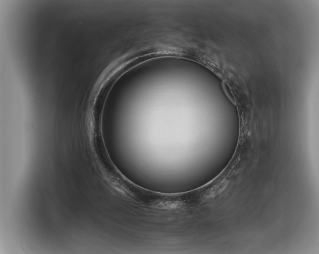 X0000116680247200912141437