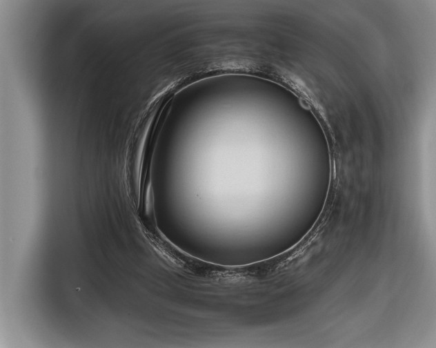 X0000116680249200912141437