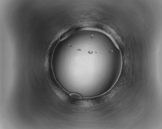 X0000116680250200912141438