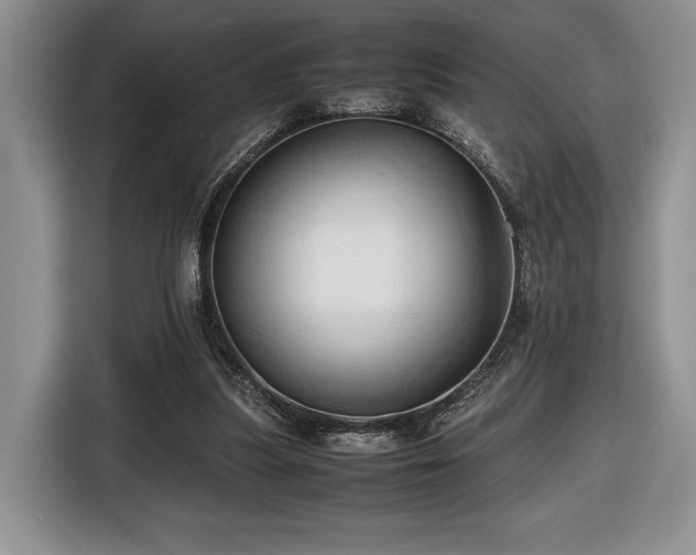 X0000116680251200912141438