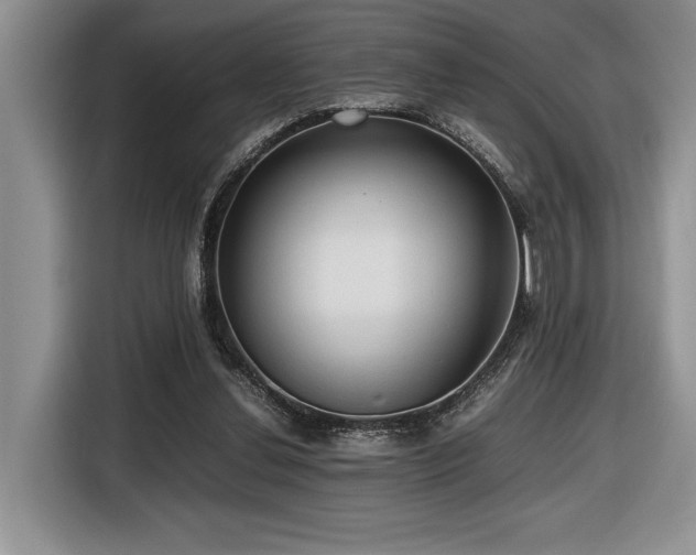 X0000116680252200912141438