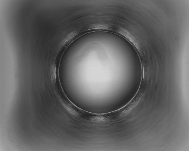 X0000116680253200912141438