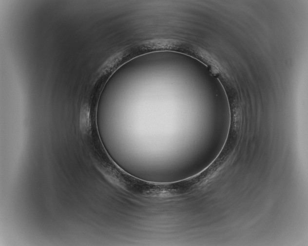 X0000116680254200912141438