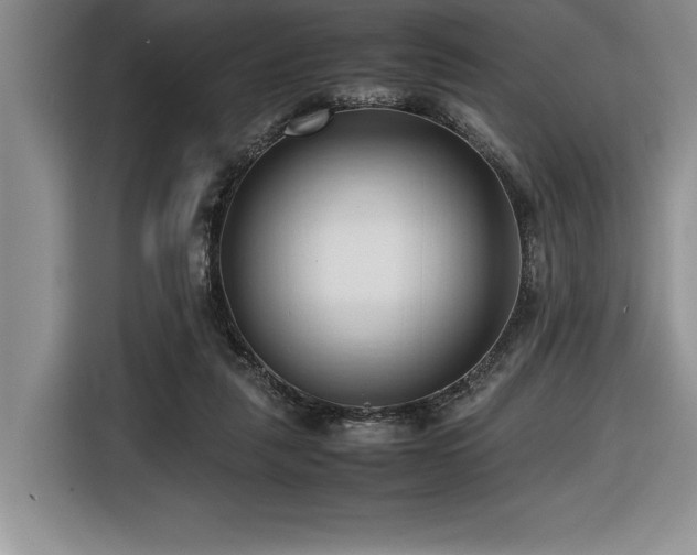 X0000116680259200912141438