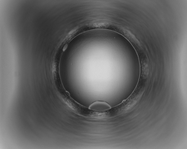 X0000116680260200912141438