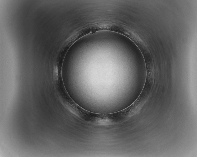 X0000116680262200912141438