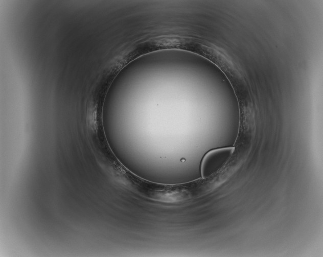 X0000116680267200912141438