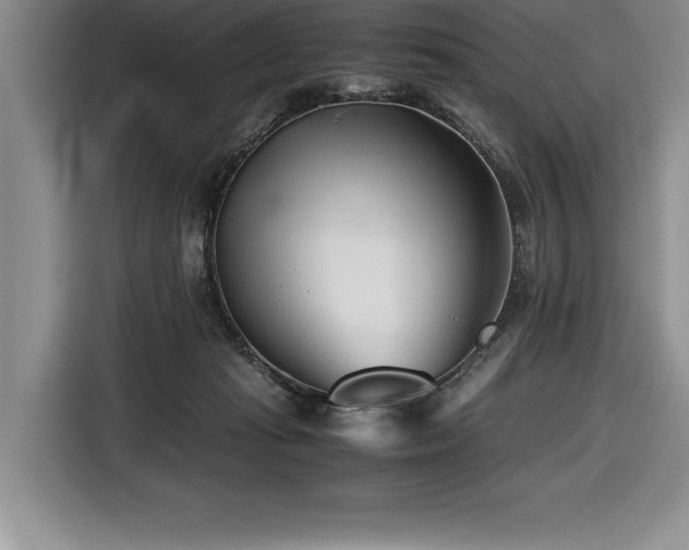 X0000116680269200912141438