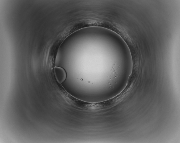 X0000116680273200912141438