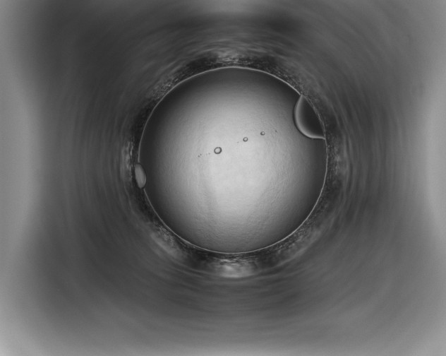 X0000116680275200912141438