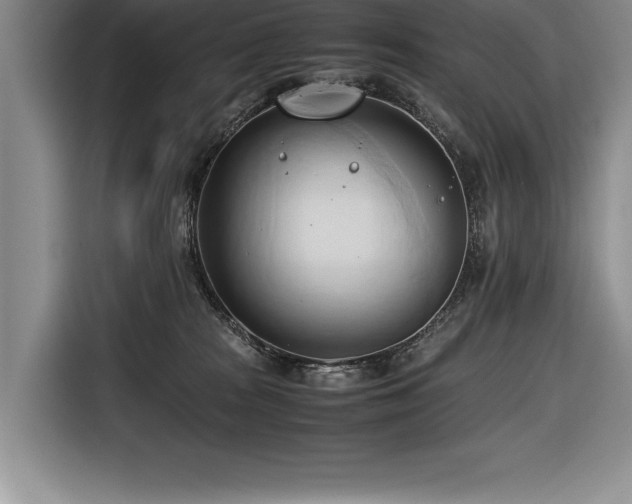 X0000116680277200912141438