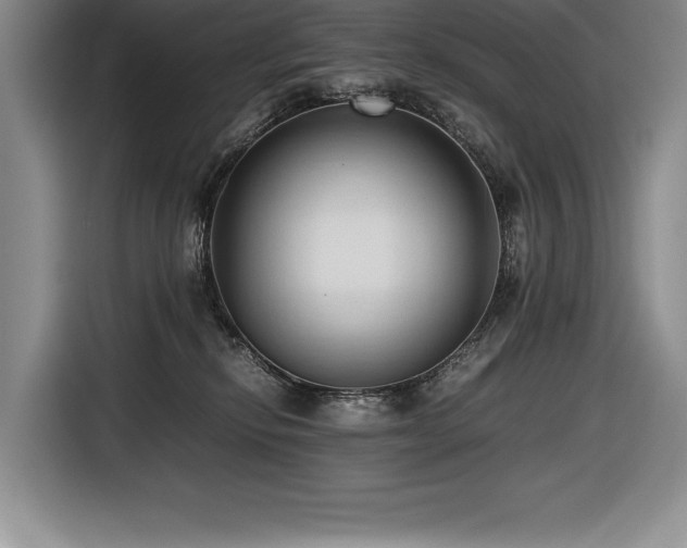 X0000116680278200912141438