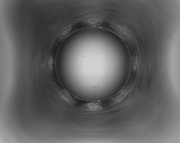 X0000116680279200912141438