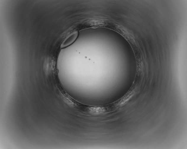 X0000116680281200912141438