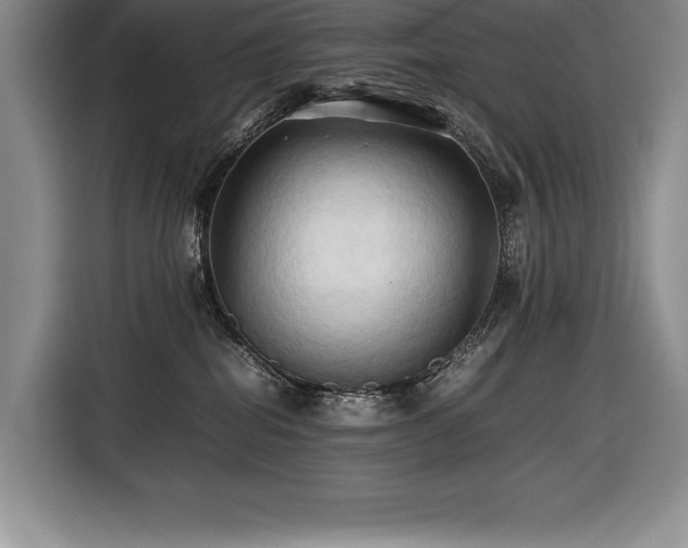 X0000116680282200912141438