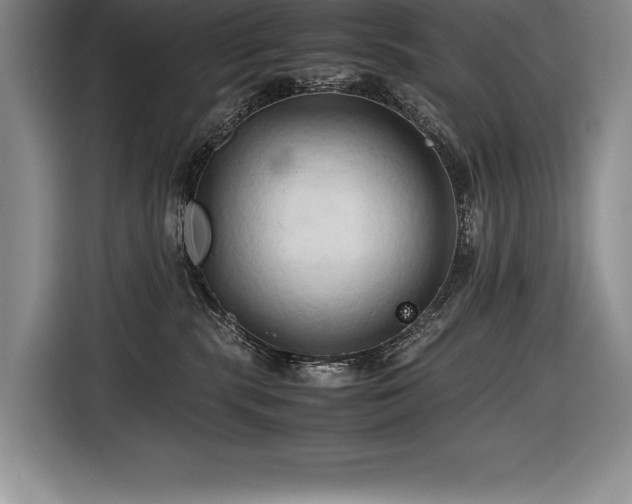 X0000116680283200912141438