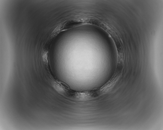 X0000116680286200912141438