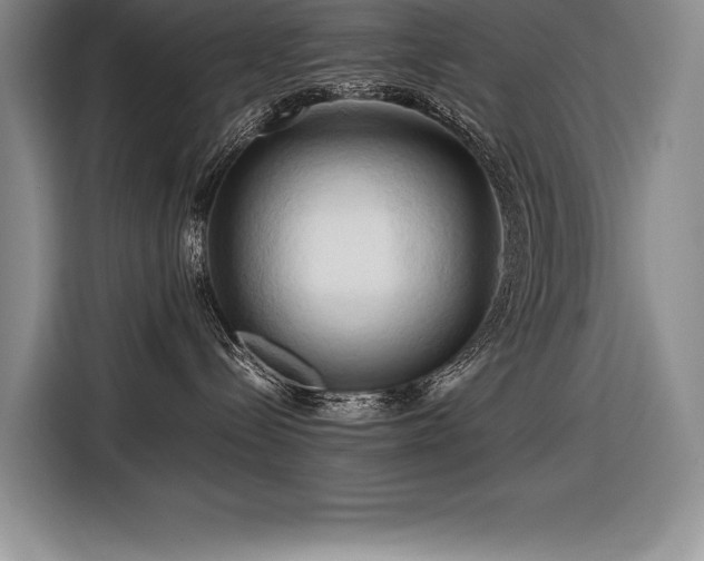 X0000116680288200912141438