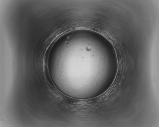 X0000116680290200912141437