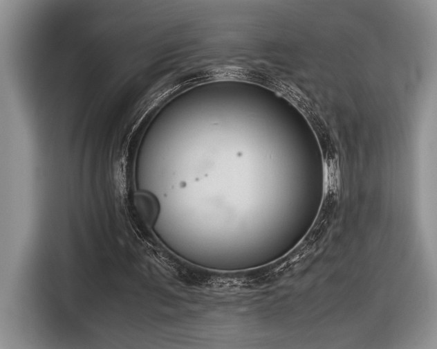 X0000116680291200912141437