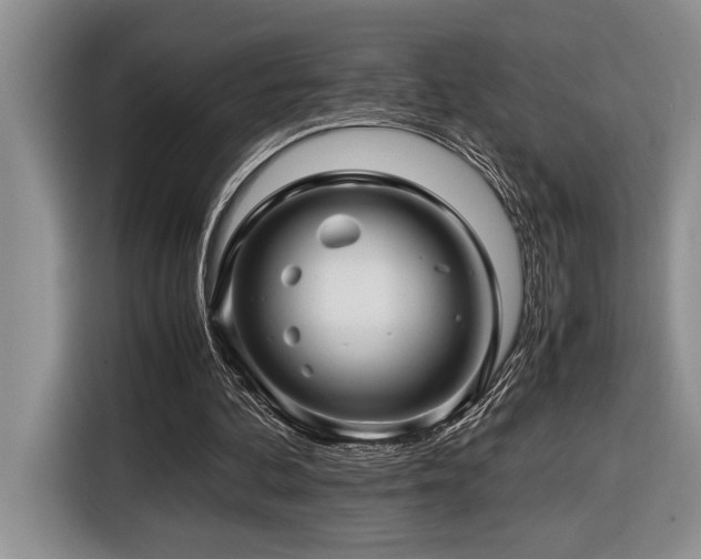 X0000116680292200912141437