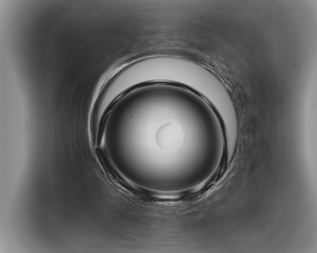 X0000116680294200912141437