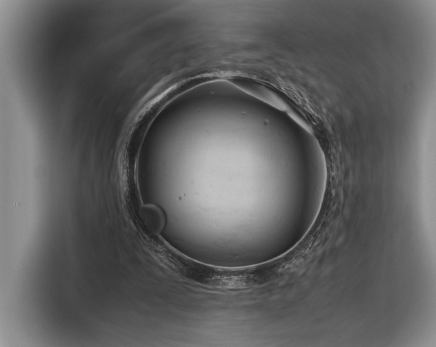 X0000116680295200912141437