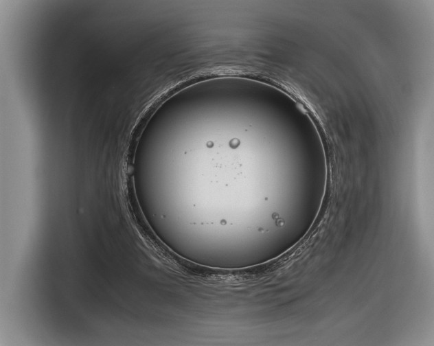 X0000116680297200912141437