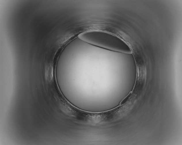 X0000116680301200912141437