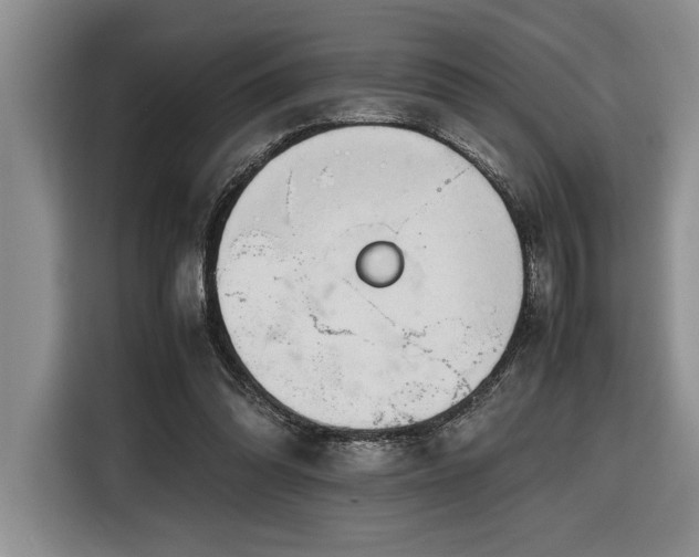 X0000116680302200912141437