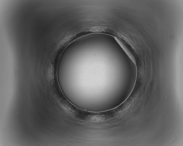 X0000116680303200912141437