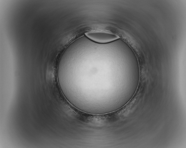 X0000116680305200912141437