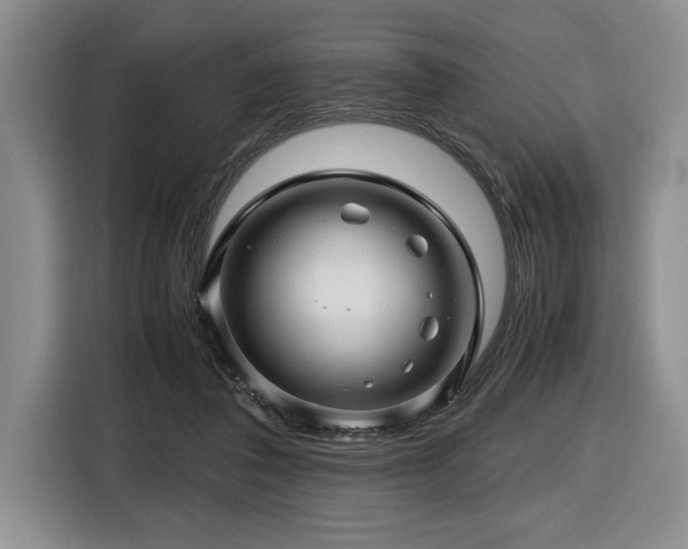 X0000116680308200912141437